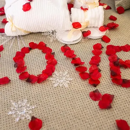 Hotel Butterfly - Il Nido D'amore Bologna *